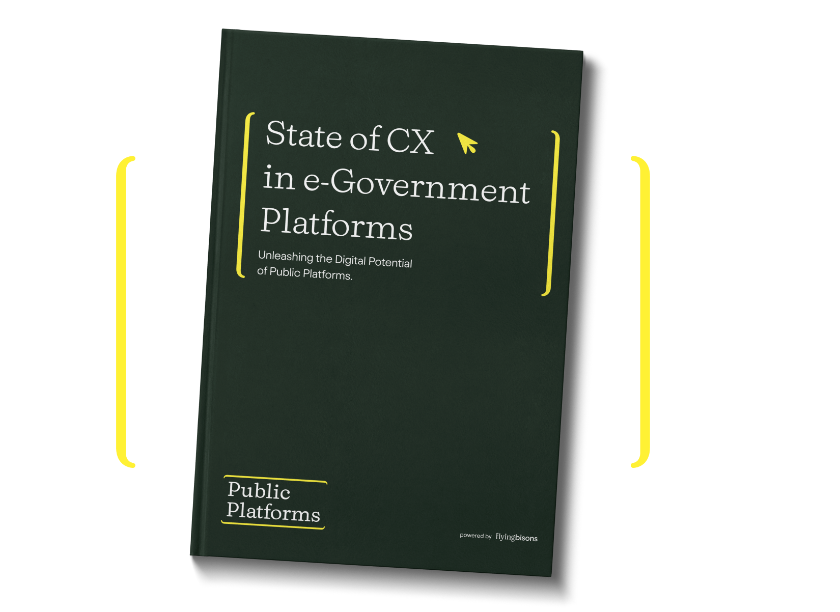 state of CX in egovernment platfroms report cover LP header